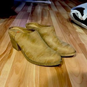 Rocket dog low boots, good condition, and super comfortable low boots!